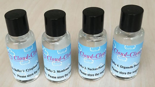 ELISA/CLIA专用裂解液