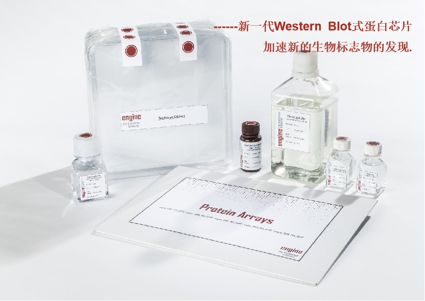 UniPEXselect Engine 15K+蛋白阵列